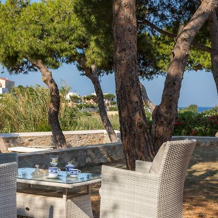 Dellagracia Mansion In Poseidonia Syros Villa Posidhonía Екстериор снимка